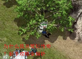 Ϊʲô���ܰ��洫�棿���ֹ���ȫ����