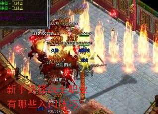 ����ѡ��սʿְҵ����Щ���ż��ɣ�