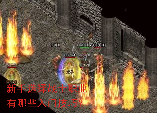 ����ѡ��սʿְҵ����Щ���ż��ɣ�