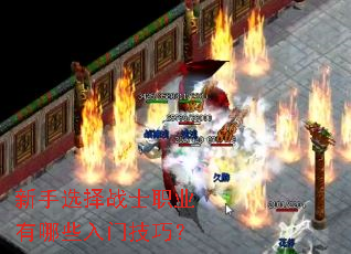 ����ѡ��սʿְҵ����Щ���ż��ɣ�