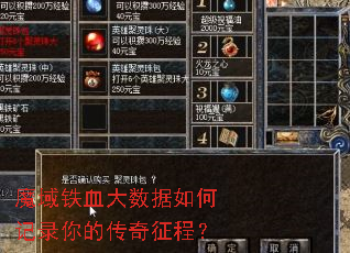 ħ����Ѫ��������μ�¼��Ĵ������̣�