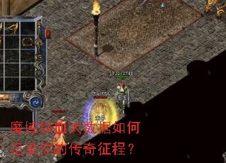 ħ����Ѫ��������μ�¼��Ĵ������̣�