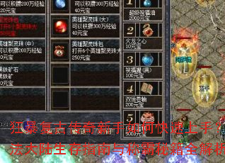 �񱩸��Ŵ���������ο������֣��귨��½����ָ����ư��ؼ�ȫ����