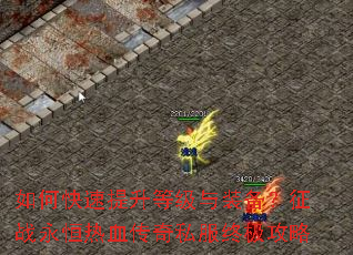 ��ο��������ȼ���װ������ս������Ѫ����˽���ռ�����