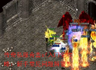 ����˽���ϻ�sf����ȫ���ԣ����ֳ���������