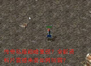 ����˽���۷����֣�ȫ������Ƭ����Ϯ����ưԣ�