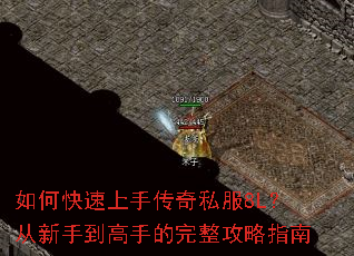 如何快速上手传奇私服8L?从新手到高手的完整攻略指南 如何快速上手传奇私服8L?从新手到高手的完整攻略指南