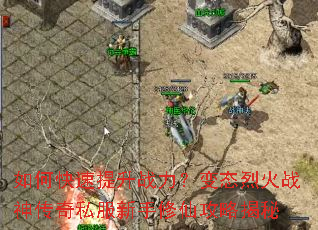 ��ο�������ս������̬�һ�ս����˽���������ɹ��Խ���