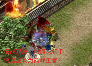 征战玛法:如何从新手快速成长为巅峰王者? 征战玛法:如何从新手快速成长为巅峰王者?