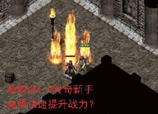 ��ְҵ1.9����������ο�������ս����