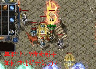 ��ְҵ1.9����������ο�������ս����