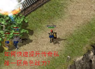 ��ο�����������˽��һ����ɫս����