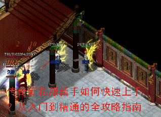 ������˽��������ο������֣������ŵ���ͨ��ȫ����ָ��