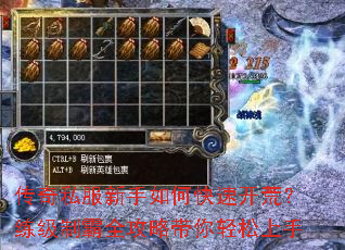 ����˽��������ο��ٿ��ģ������ư�ȫ���Դ�����������