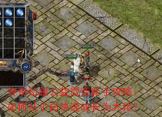 传奇私服公益微变新手攻略:如何从小白快速成长为大佬? 传奇私服公益微变新手攻略:如何从小白快速成长为大佬?