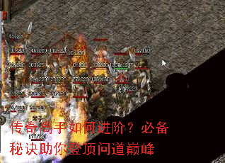 ���������ν��ף��ر��ؾ�����Ƕ��ʵ��۷�