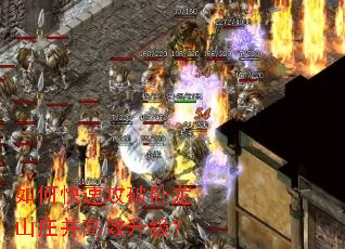 如何快速攻破卧龙山庄并高效升级? 如何快速攻破卧龙山庄并高效升级?