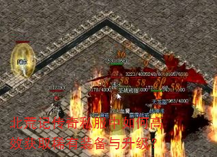 ļǴ˽θЧȡϡװ