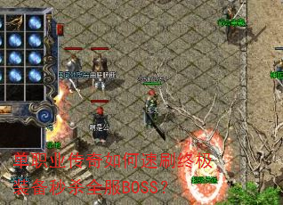 ְҵˢռװɱȫBOSS