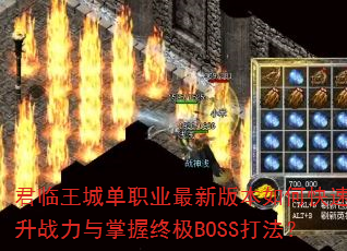 ǵְҵ°汾οսռBOSS򷨣