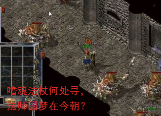 Ȼ귨ȺδѰʦԲڽ񳯣