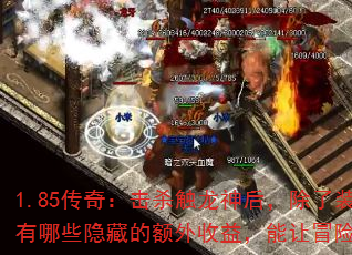 1.85棺ɱ󣬳װЩصĶ棬ðո㣿
