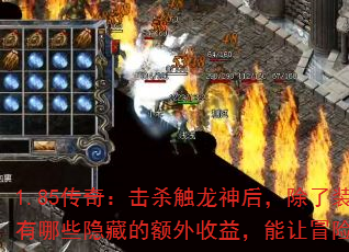 1.85棺ɱ󣬳װЩصĶ棬ðո㣿