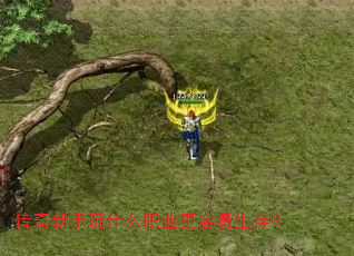 ʲôְҵ棿