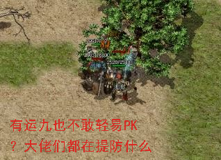 ˾ҲPKǶʲô