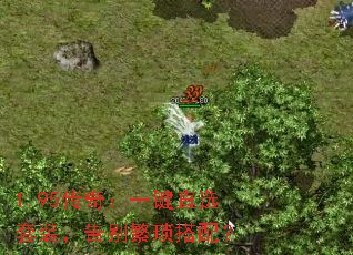 1.95棺һֱѡװ䣿