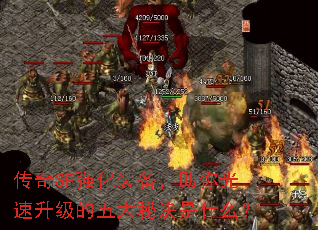 SFǿװؾʲô