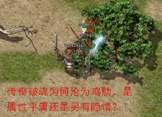 ƻΪΪߣƽӹ飿