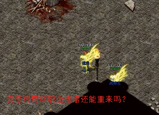 ̬SFְҵѡ