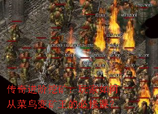 ڿδӲı޿Σ