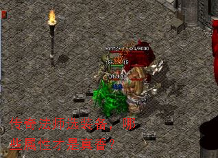 淨ʦѡװЩԲ㣿