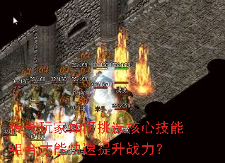 ѡļϲܿս