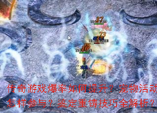 Ϸ룿ȫ