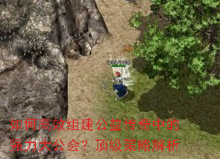 θЧ齨洫еǿ󹫻᣿Խ