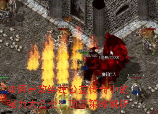 θЧ齨洫еǿ󹫻᣿Խ