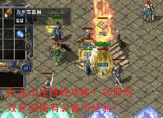 ɽׯսԣθЧȡϡװ뾭飿