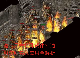 ʿɣͨ÷ʵսӦȫ