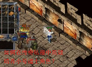 ڴ˽иЧСŵʿɫ