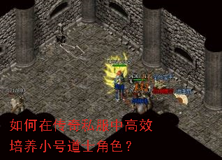 ڴ˽иЧСŵʿɫ