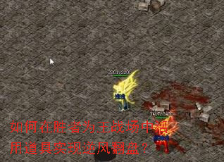 ʤΪսлõʵ緭̣