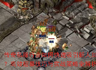 ˽лο˼룿Чļʵսȫ