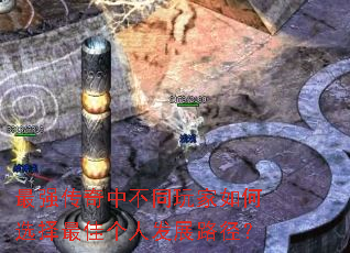 ǿвͬѡѸ˷չ·