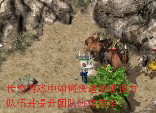 Ϸο齨ǿ鲢ŶЭЧʣ