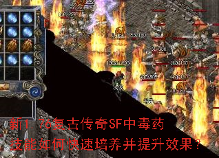 1.76ŴSFжҩοЧ