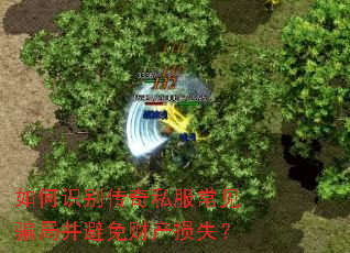 ʶ˽ƭֲƲʧ