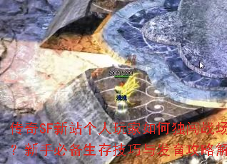 ����SF��վ���������ζ���ս�������ֱر����漼���뷢�����Խ���